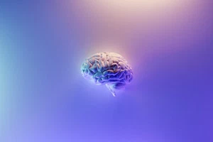 🧠 Sharpen your thinking with a second brain featured image